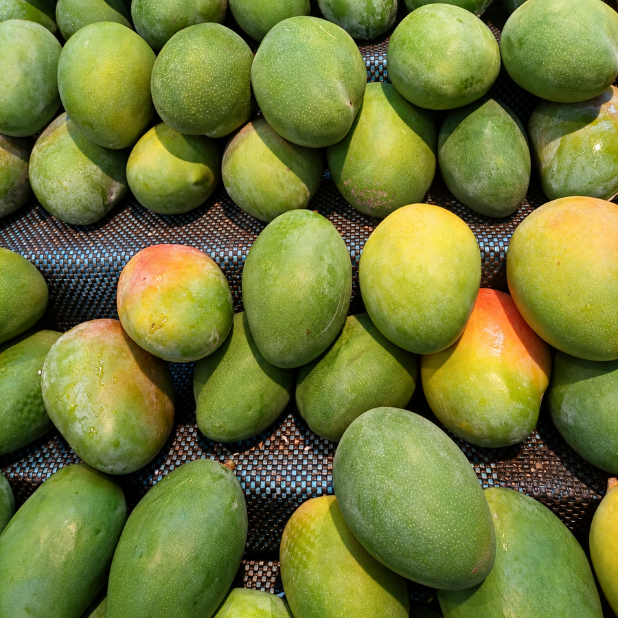 Mango Keitt
