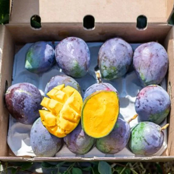 Mango Sensación