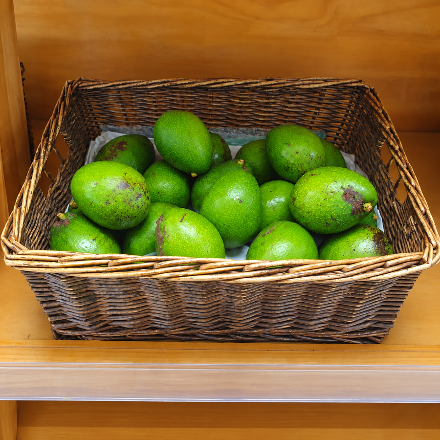Aguacate Bacon