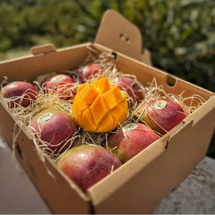 Mango Kent