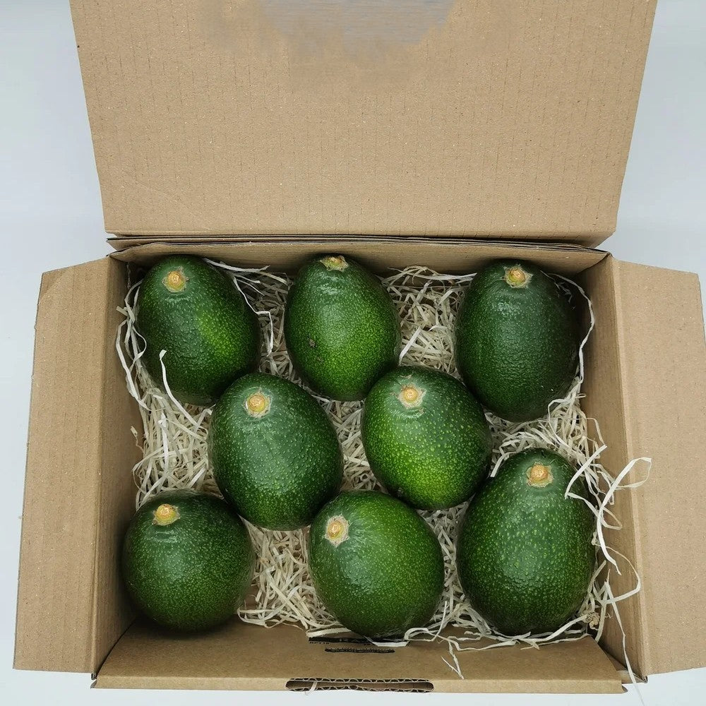 Aguacate Bacon