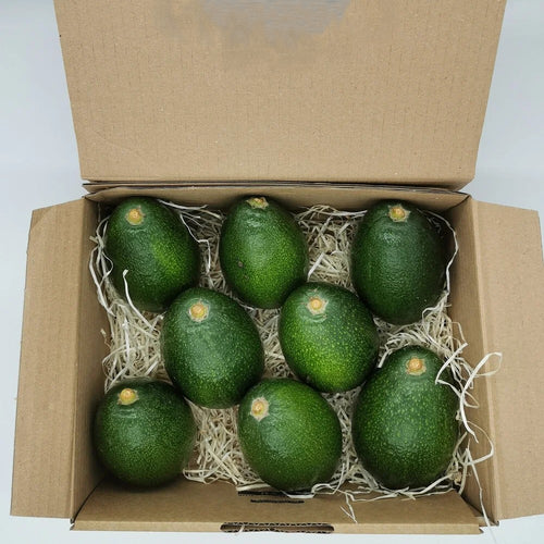 Aguacate Bacon