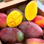 Mango Palmer